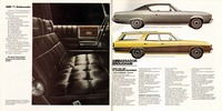 1973 AMC Full Line Prestige-36-37.jpg